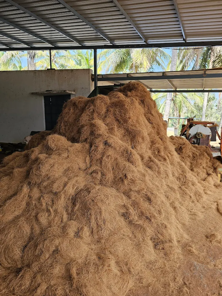 Coir Fiber
