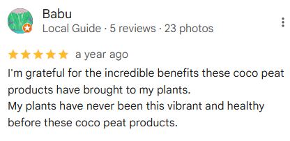 Google Reviews
